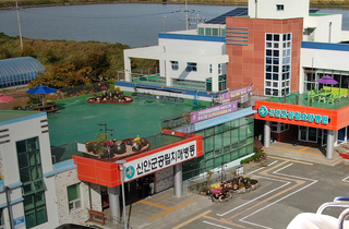 신안군 유일 공공보건의료기관</br>공립요양병원|언제나 내 가족을 대하듯 환자 한 분, </br>한 분께 최선을 다하겠습니다.